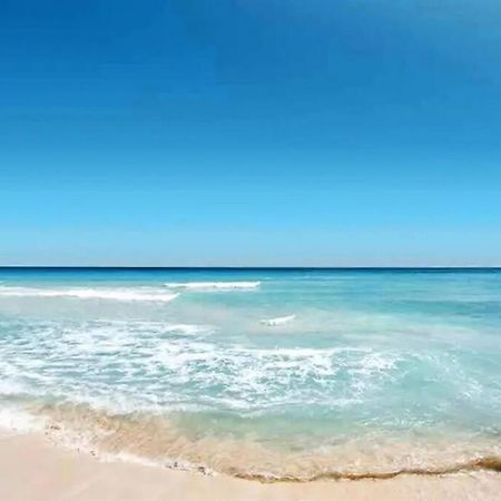 Lovely 1 Bedroom Unit Across From Lido Key Beach Sarasota Exteriör bild