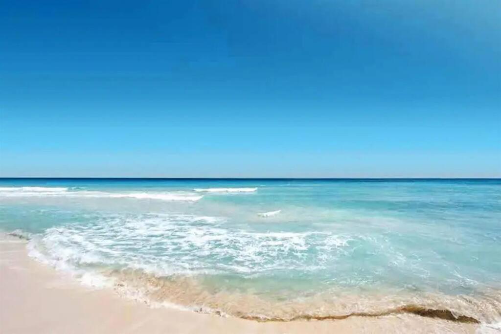 Lovely 1 Bedroom Unit Across From Lido Key Beach Sarasota Exteriör bild